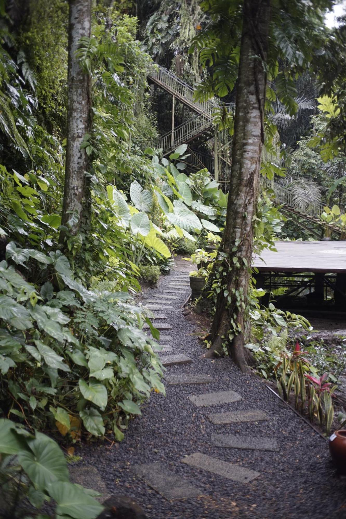 Tattva Retreat & Wellness होटल Ubud (Bali)