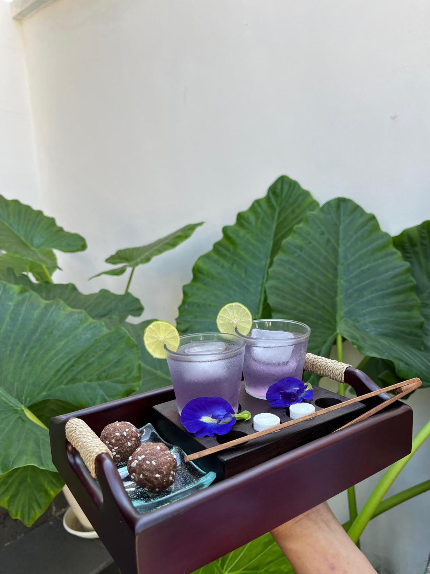 Tattva Retreat & Wellness होटल