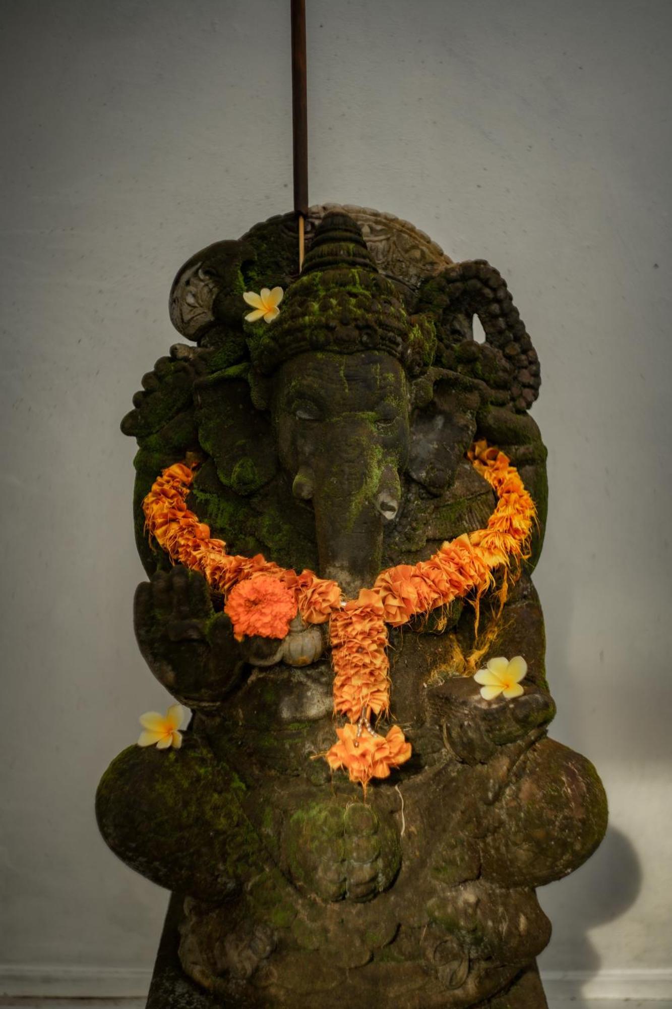 Tattva Retreat & Wellness होटल